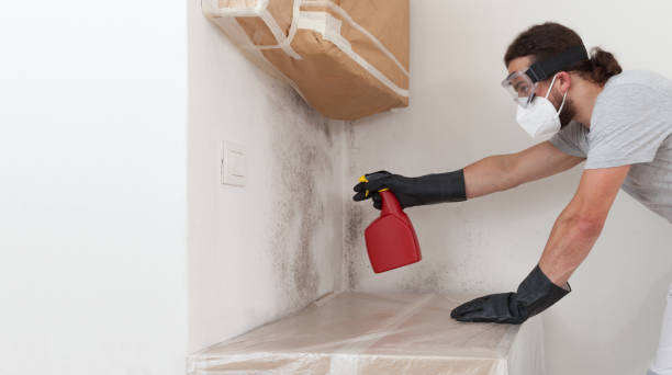 Professional Black Mold Remediation technician working in Montvale, NJ