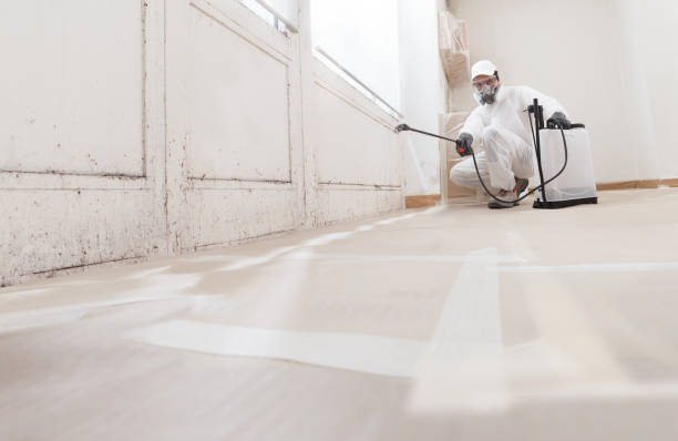 24/7 Emergency Black Mold Remediation experts in Montvale, NJ