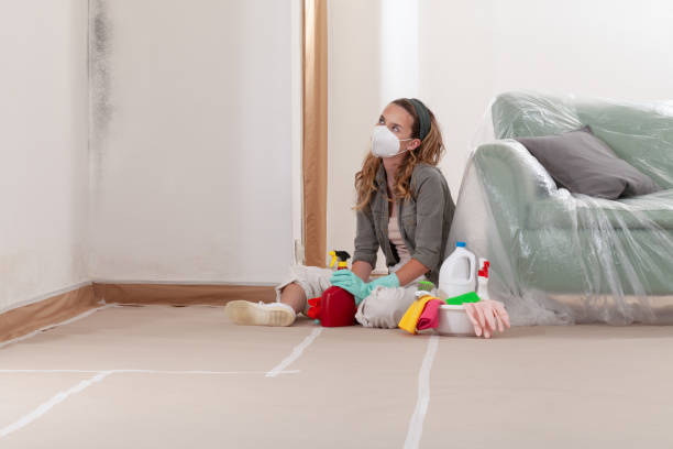 Reliable Black Mold Remediation contractor in Montvale, NJ by Car Mold Remediation